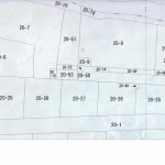 越前の公図